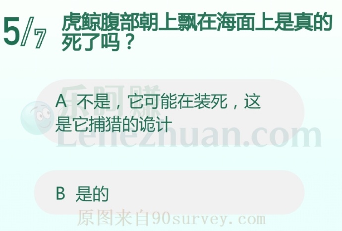 虎鲸腹部朝上飘在海面上是真的死了吗?