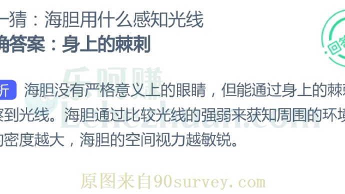 海胆用什么感知光线?