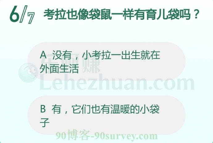 考拉也像袋鼠一样有育儿袋吗?