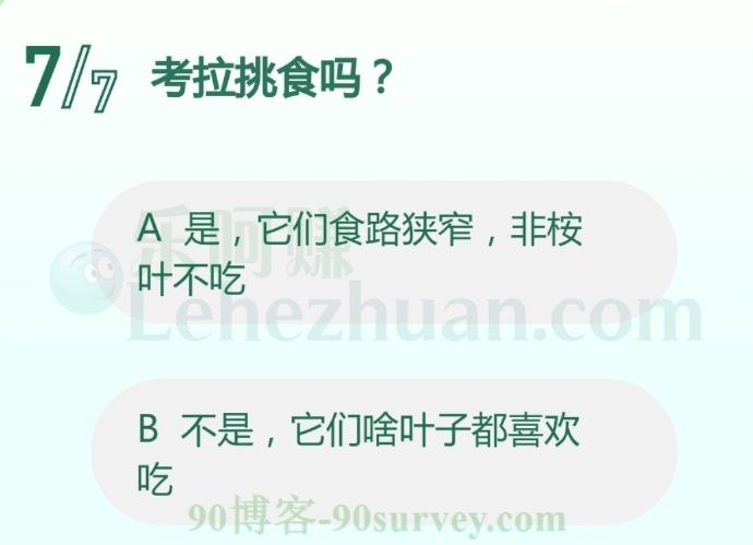 考拉挑食吗?
