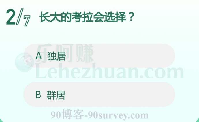 长大的考拉会选择?