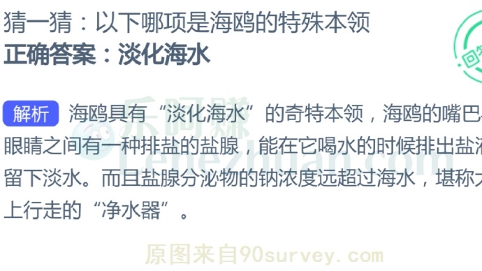 哪项是海鸥的特殊本领?