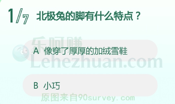 北极兔的脚有什么特点?