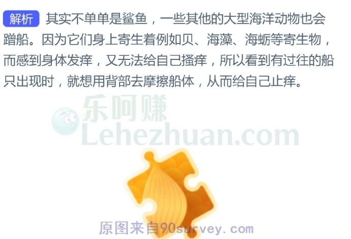 船只出海时,经常遇到鲨鱼在船边上蹭来蹭去是为什么?