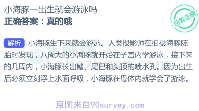 小海豚一出生就会游泳吗?