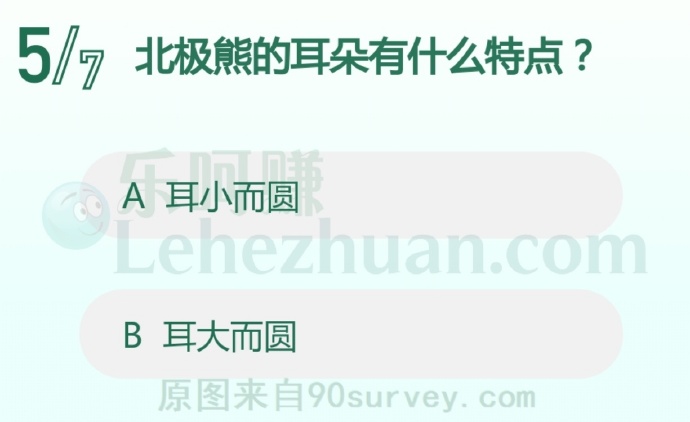 北极熊的耳朵有什么特点?