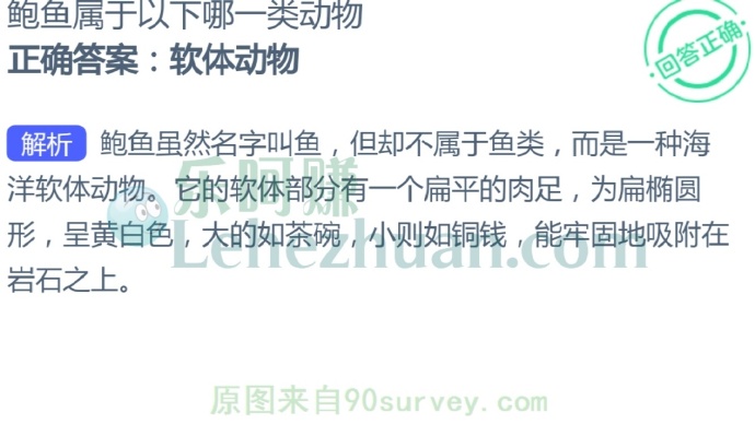 鲍鱼属于哪一类动物?