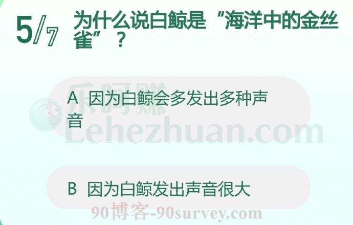 为什么说白鲸是“海洋中的金丝雀”?