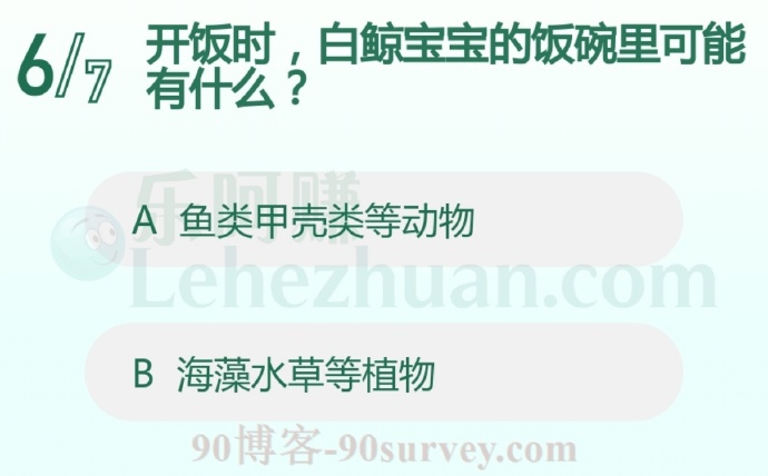 开饭时,白鲸宝宝的饭碗里可能有什么?