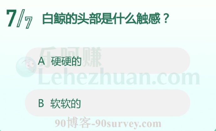 白鲸的头部摸起来软软的