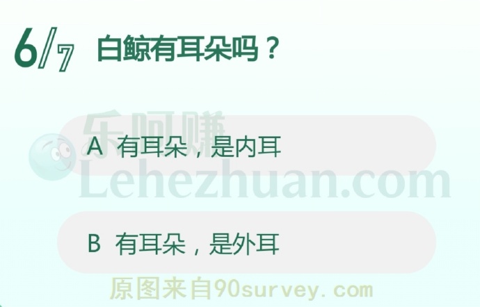 白鲸有耳朵吗?