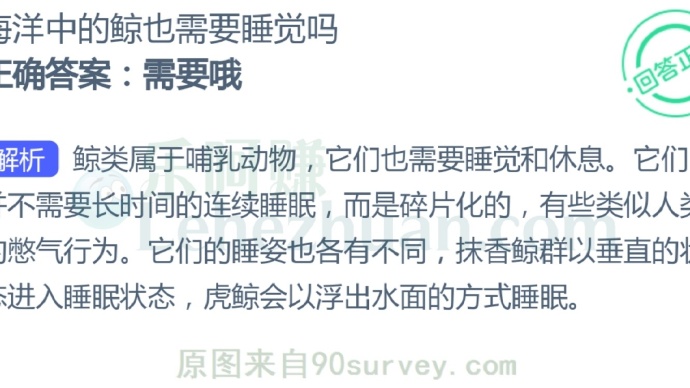 海洋中的鲸也需要睡觉吗?