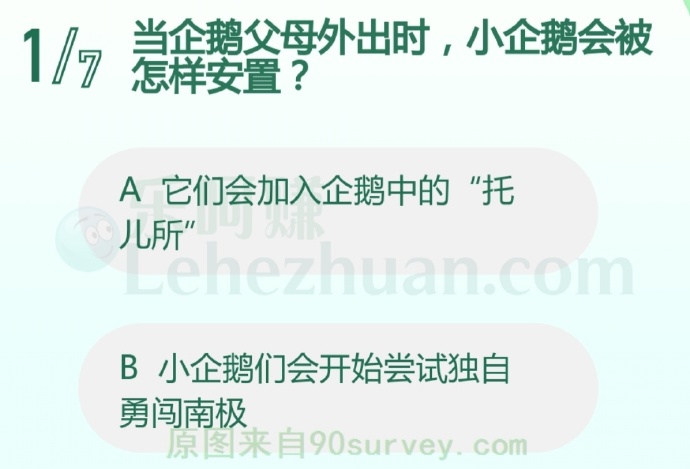 当企鹅父母外出时,小企鹅会被怎样安置?