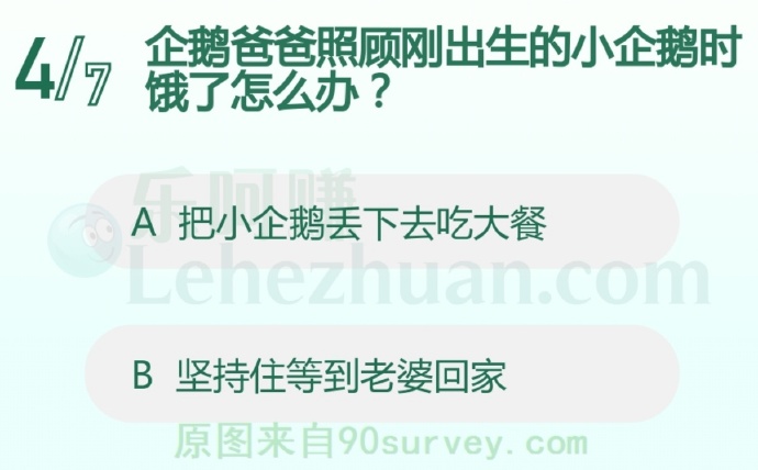 企鹅爸爸照顾刚出生的小企鹅时饿了怎么办?