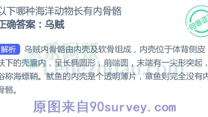 以下哪种海洋动物长有内骨骼?