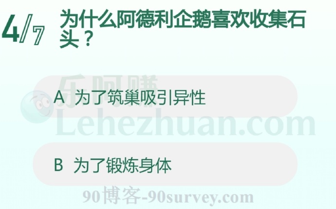为什么阿德利企鹅喜欢收集石头?