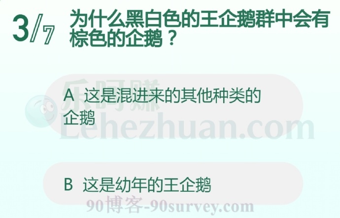 为什么黑白色的王企鹅群中会有棕色的企鹅?