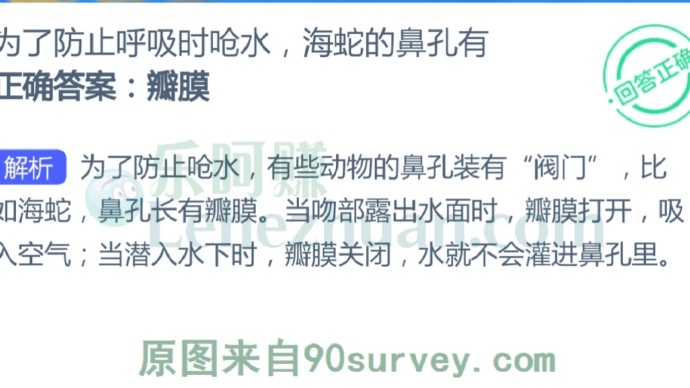 为了防止呼吸时呛水,海蛇的鼻孔有?