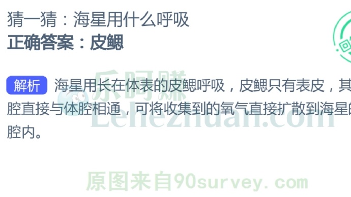 海星用长在体表的皮鳃呼吸