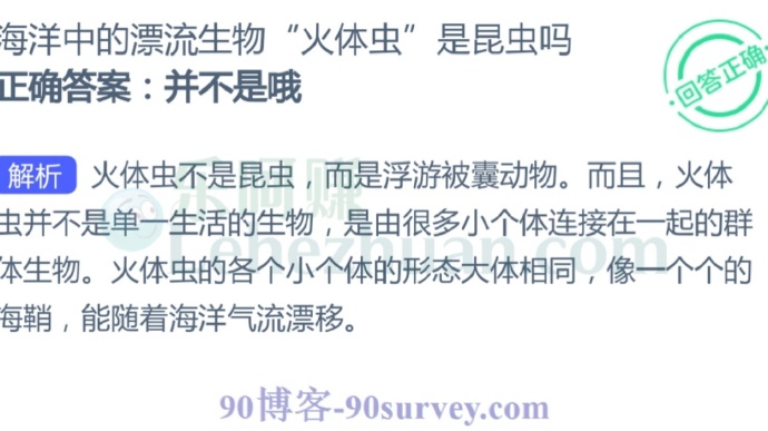 海洋中的漂流生物“火体虫”是昆虫吗?