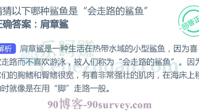 肩章鲨喜欢走路而不喜欢游泳