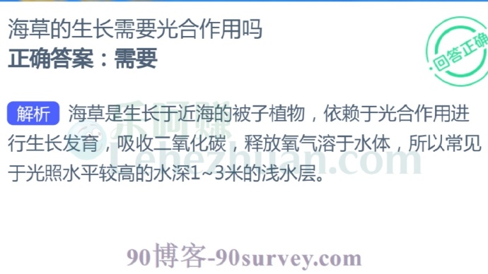 海草的生长需要光合作用吗?