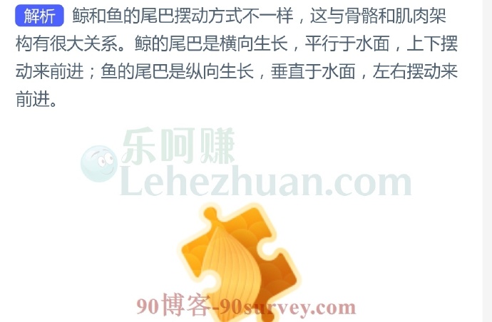 鲸在游动时,尾巴以哪种方式摆动?