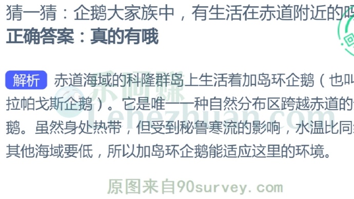 企鹅大家族中,有生活在赤道附近的吗?