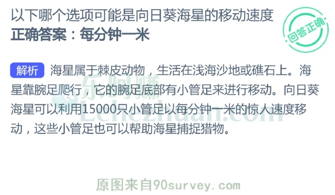 以下哪个选项可能是向日葵海星的移动速度?