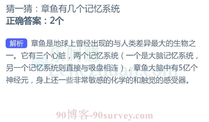 章鱼有几个记忆系统?