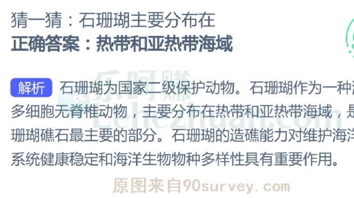 石珊瑚主要分布在?