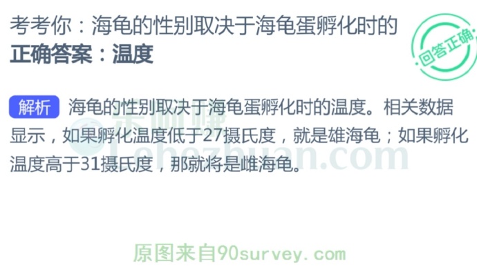 海龟的性别取决于海龟蛋孵化时的?