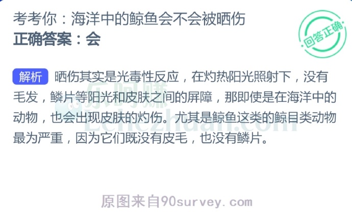 海洋中的鲸鱼会不会被晒伤?