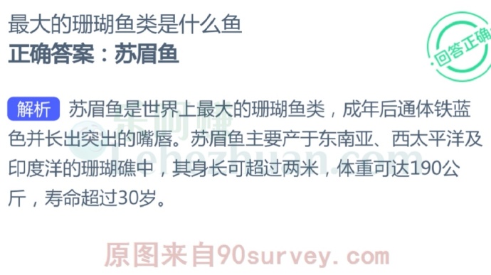 最大的珊瑚鱼类是什么鱼?