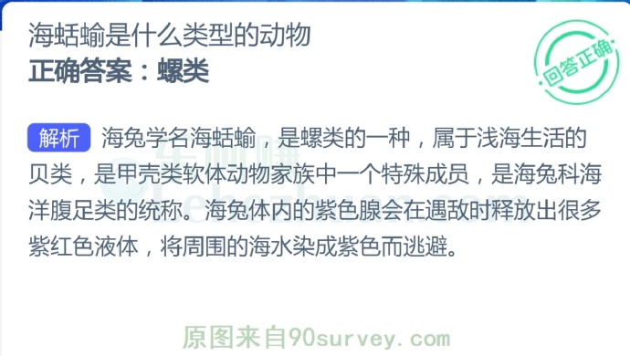 海蛞蝓是什么类型的动物?