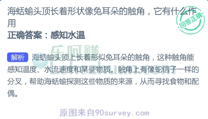 海蛞蝓头顶长着形状像兔耳朵的触角,它有什么作用?