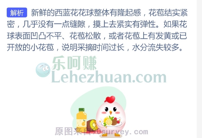 哪种西蓝花更新鲜?