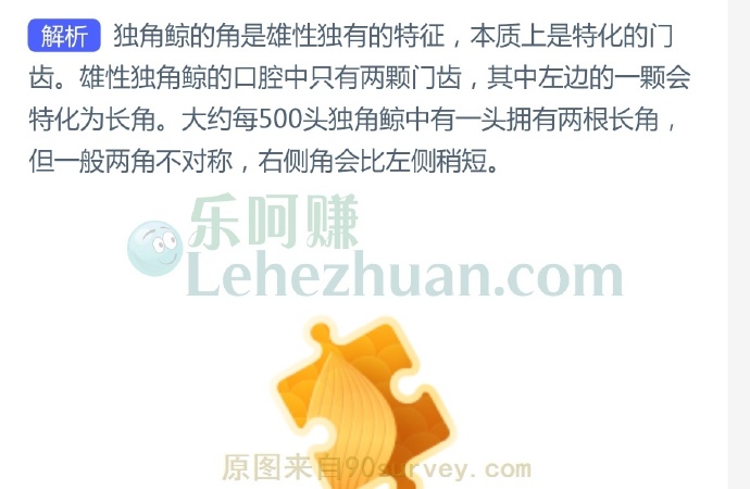独角鲸外部生长出的角属于身体中的哪个部位?