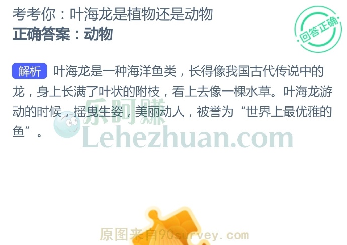 叶海龙是植物还是动物?