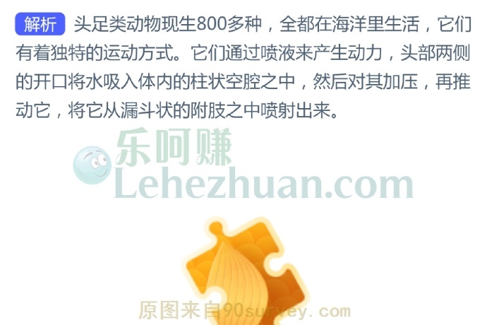 海洋生物中的头足类动物是靠什么来产生动力的?