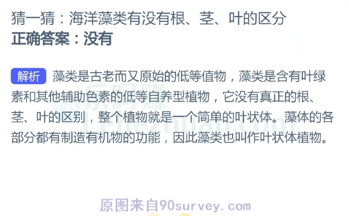 海洋藻类有没有根、茎、叶的区分?