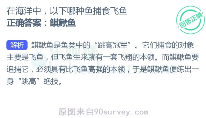 在海洋中,以下哪种鱼捕食飞鱼?