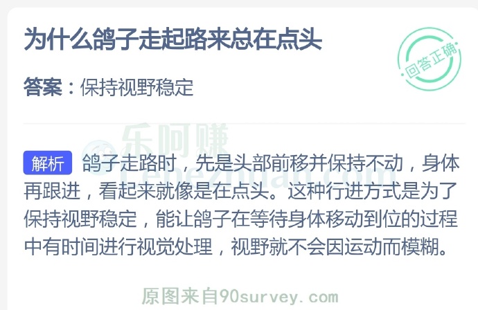为什么鸽子走起路来总在点头?