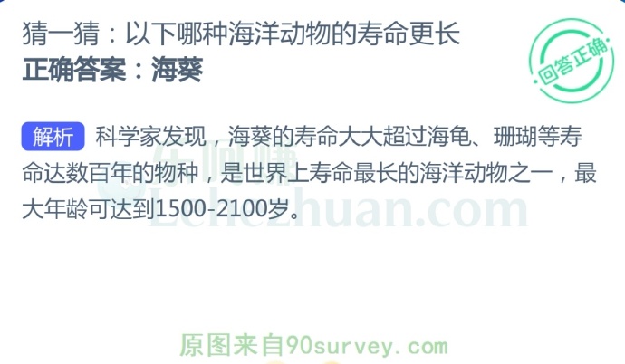 哪种海洋动物的寿命更长?