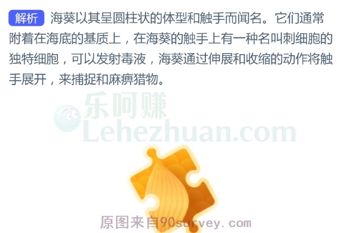 哪种海洋动物以其呈圆柱状的体型和触手而闻名?