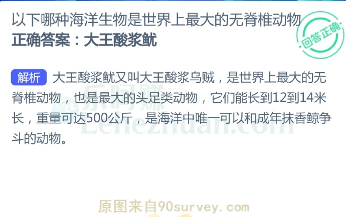 哪种海洋生物是世界上最大的无脊椎动物?
