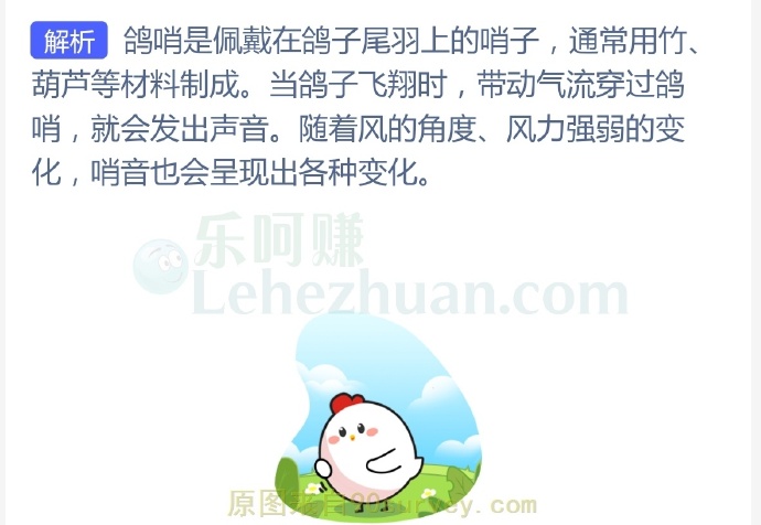 能发出悠扬响声的鸽哨佩戴在鸽的哪个部位?