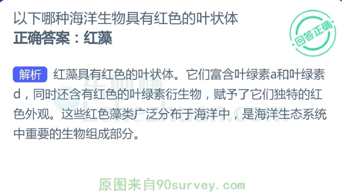 哪种海洋生物具有红色的叶状体?
