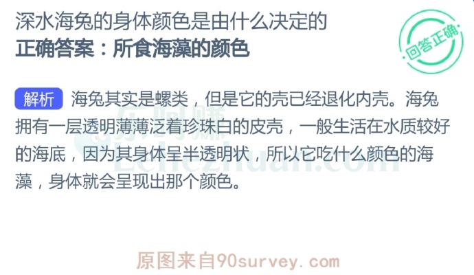 深水海兔的身体颜色是由什么决定的?