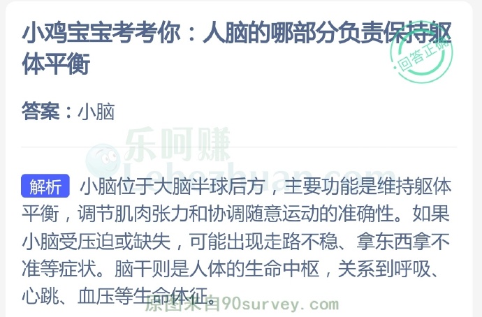 人脑的哪部分负责保躯体平衡?